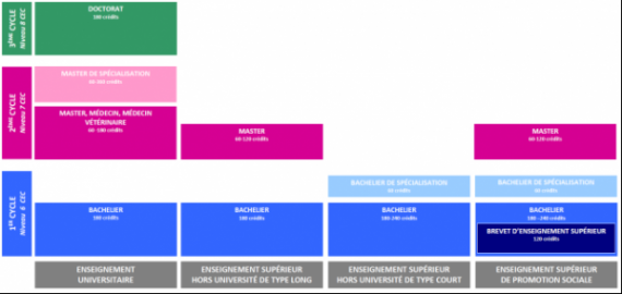 Enseignement.be - Schéma De L’enseignement Supérieur En FWB