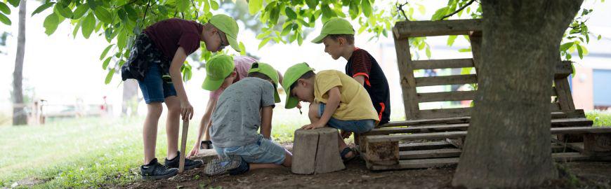 école au potager